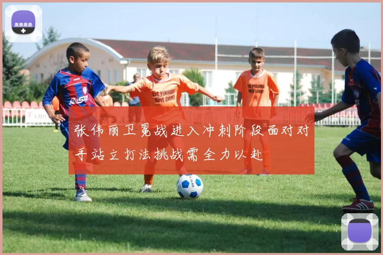 张伟丽卫冕战进入冲刺阶段面对对手站立打法挑战需全力以赴