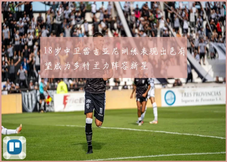 18岁中卫雷吉亚尼训练表现出色有望成为多特主力阵容新星