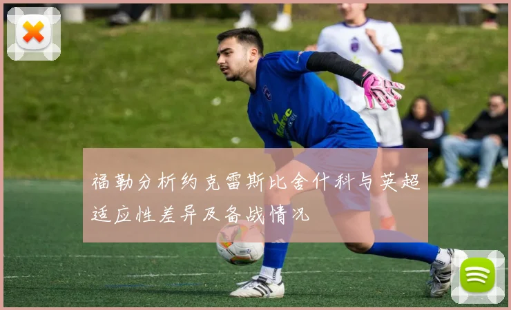 福勒分析约克雷斯比舍什科与英超适应性差异及备战情况