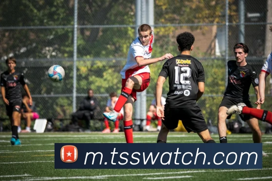 九游app官网入口账号发展历程